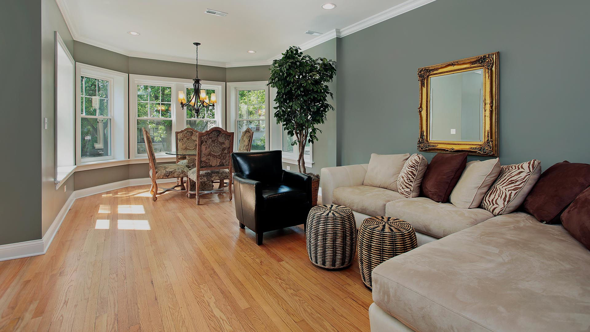 Living Room Banner Image